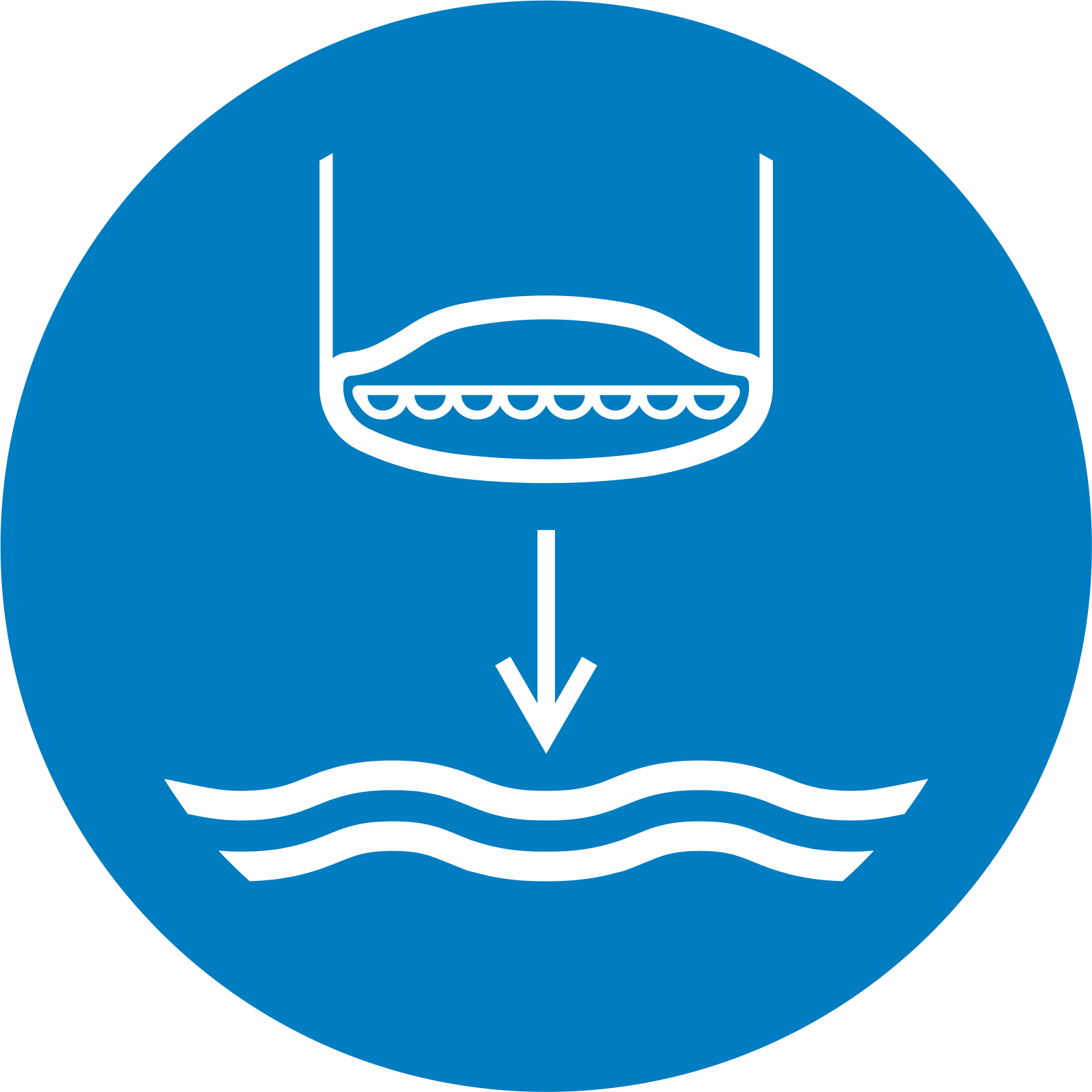 lower the lifeboat to the water